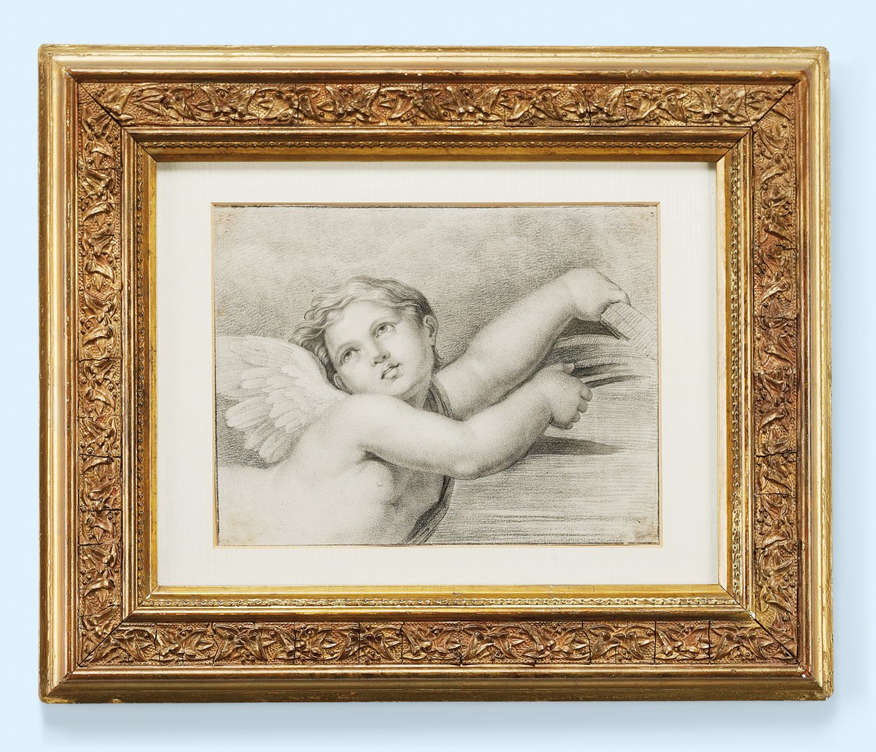 Kopf eines Putto von after Raphael