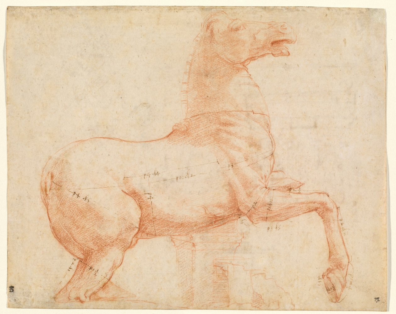 Ein Marmorpferd auf dem Quirinalshügel (recto) von Raphael (1483 1520)