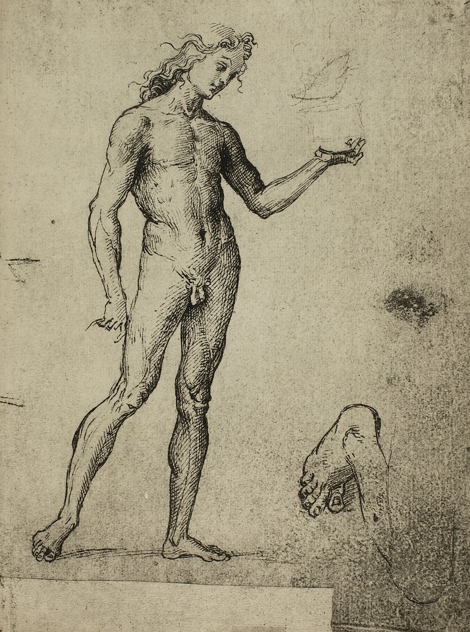 Männliche Aktstudie; Zeichnung von Raphael. Gallerie dell