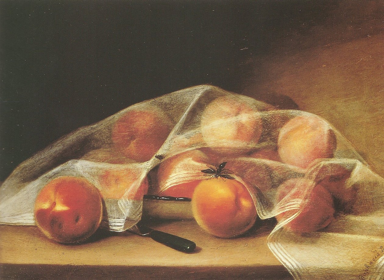 Fruchtstücke mit Pfirsichen, bedeckt von einem Taschentuch - Raphaelle Peale von Raphaelle Peale