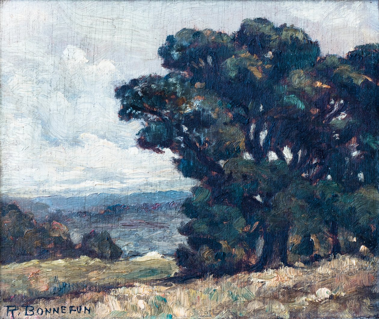 Landschaft von Raymond Bonnefon