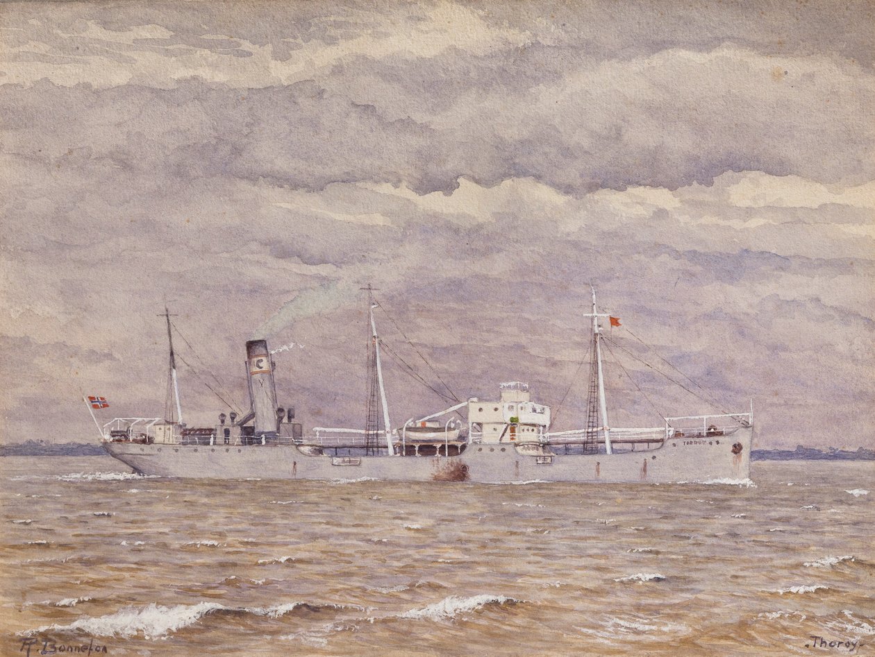 Der norwegische Frachter Thoroy auf der Gironde-Mündung von Raymond Bonnefon