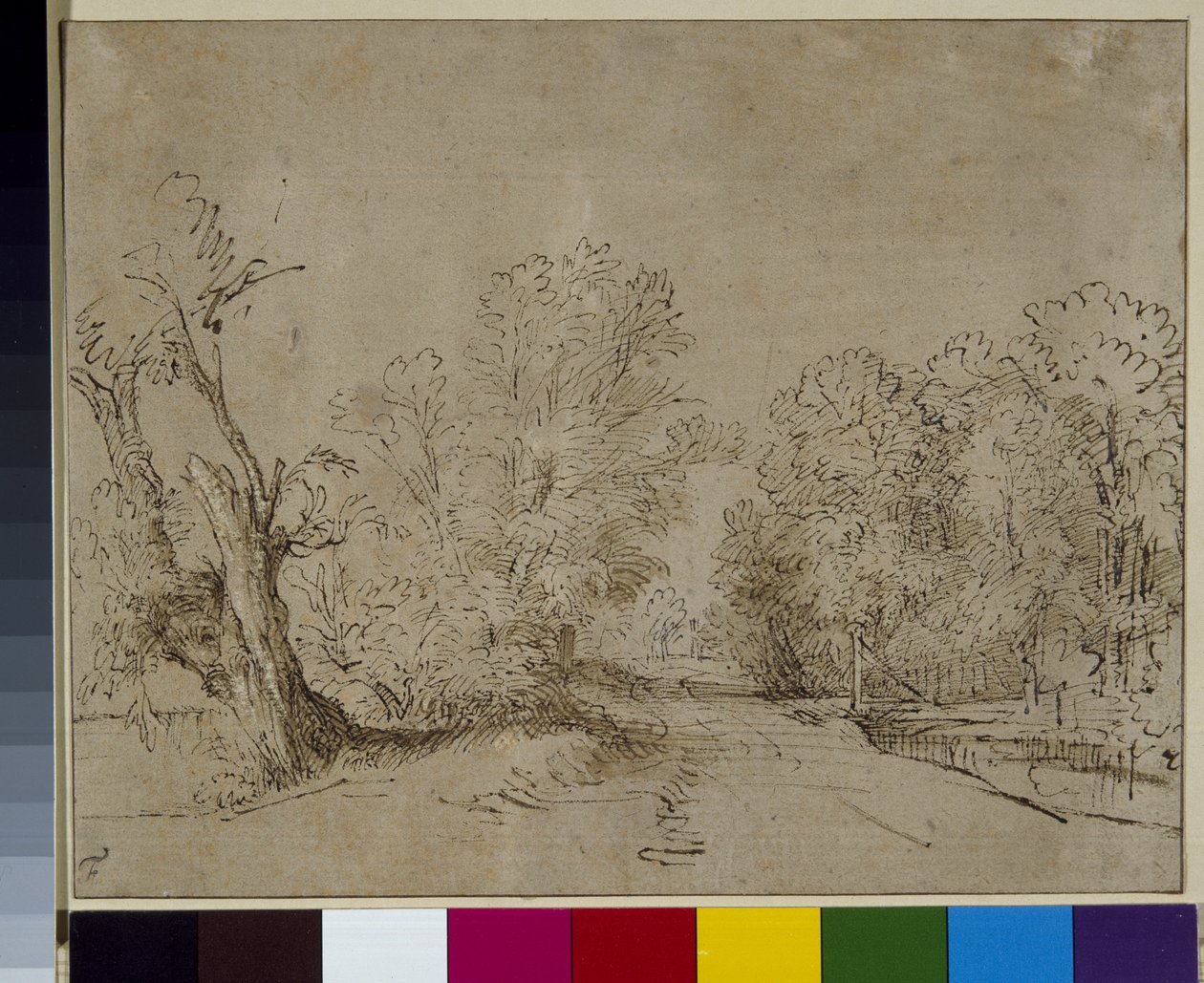 Eine bewaldete Straße, ca. 1650 von Rembrandt Harmensz. van Rijn