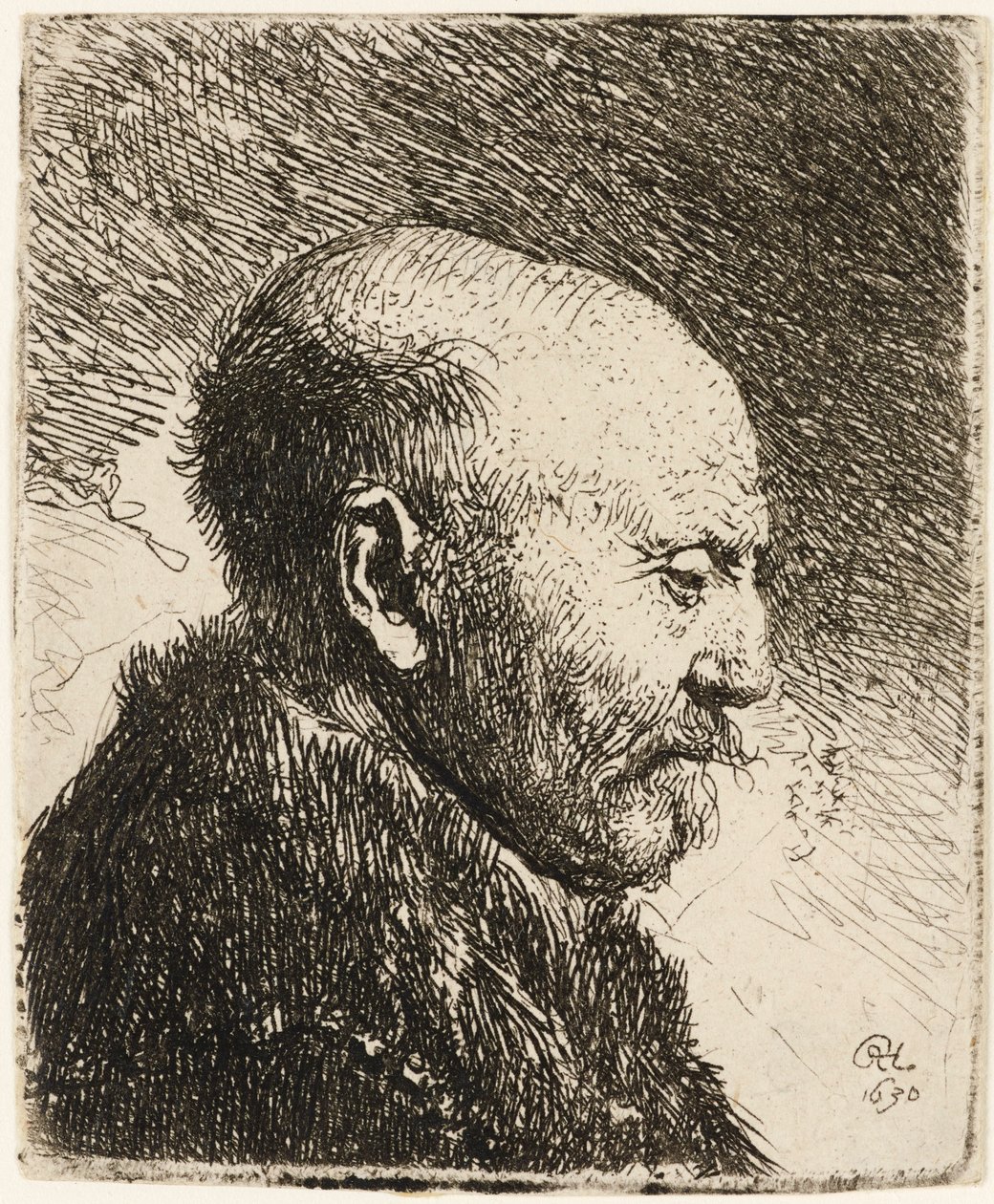 Kahlköpfiger Mann im Profil rechts: Rembrandts Vater, 1630 von Rembrandt van Rijn