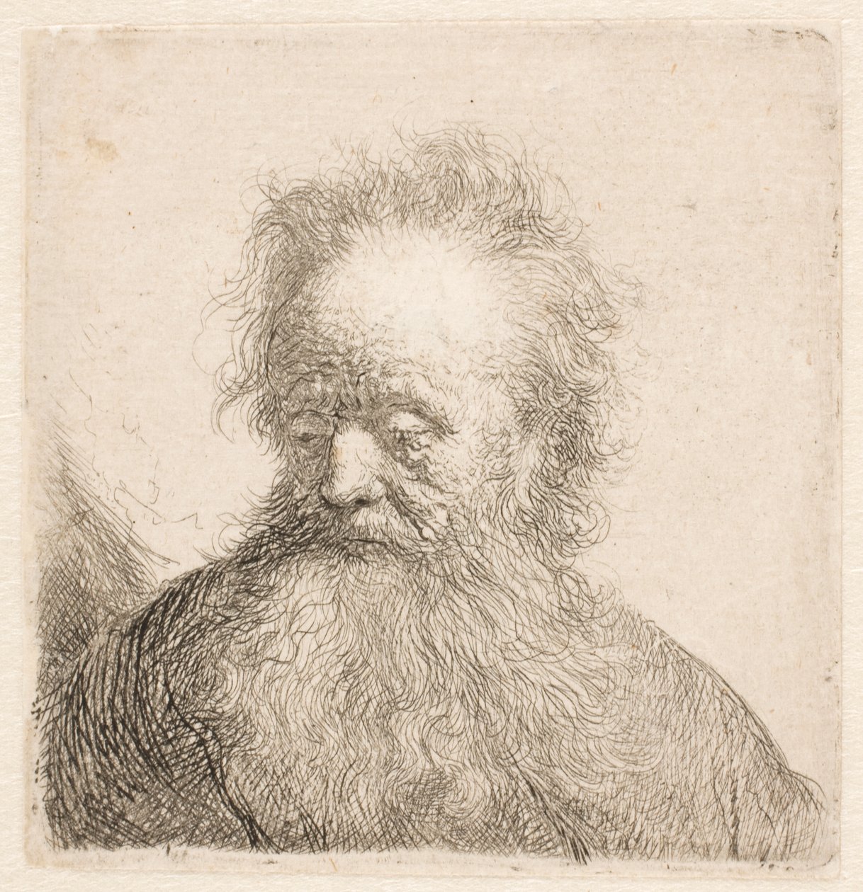Büste eines alten Mannes mit fließendem Bart: Kopf fast aufrecht: Augen niedergeschlagen: leicht nach links blickend von Rembrandt van Rijn