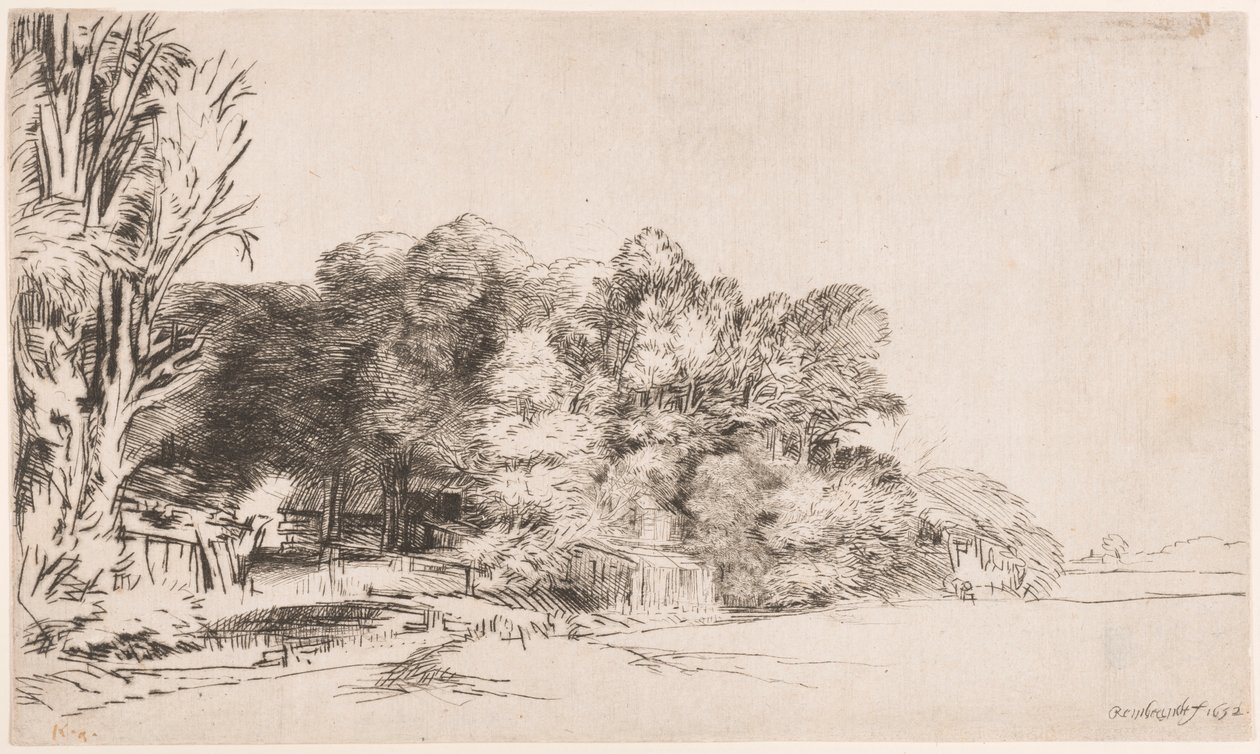 Baumgruppe mit Aussicht von Rembrandt van Rijn