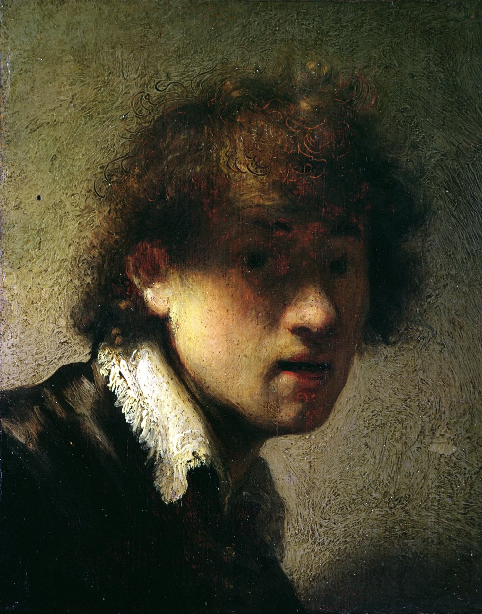 Kopf eines jungen Mannes oder Selbstporträt, 1629 von Rembrandt van Rijn