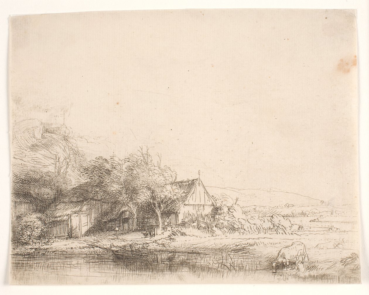 Landschaft mit einer trinkenden Kuh von Rembrandt van Rijn