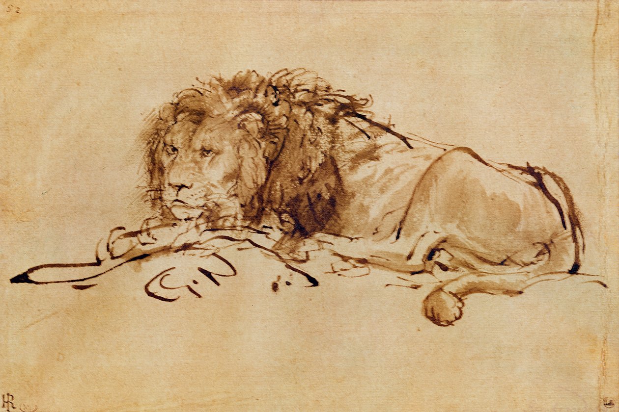 Ruhender Löwe von Rembrandt van Rijn