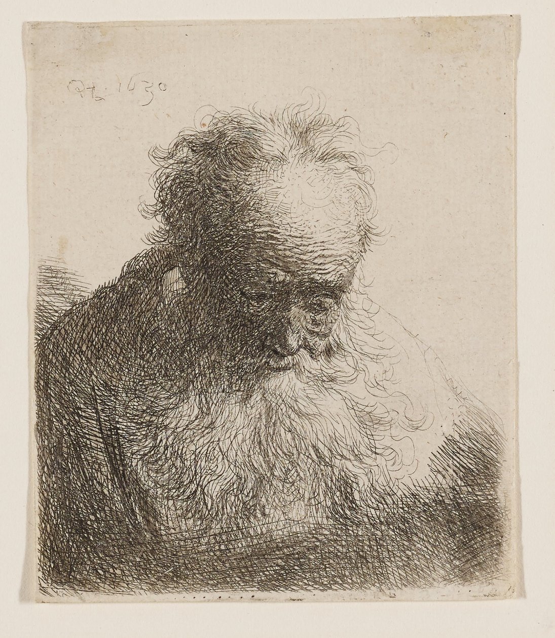 Alter Mann mit fließendem Bart (Kopf nach vorne geneigt, linke Schulter unbeschattet) von Rembrandt van Rijn