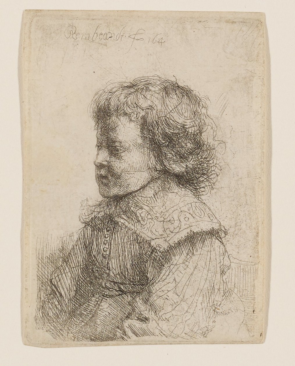 Porträt eines Jungen im Profil von Rembrandt van Rijn