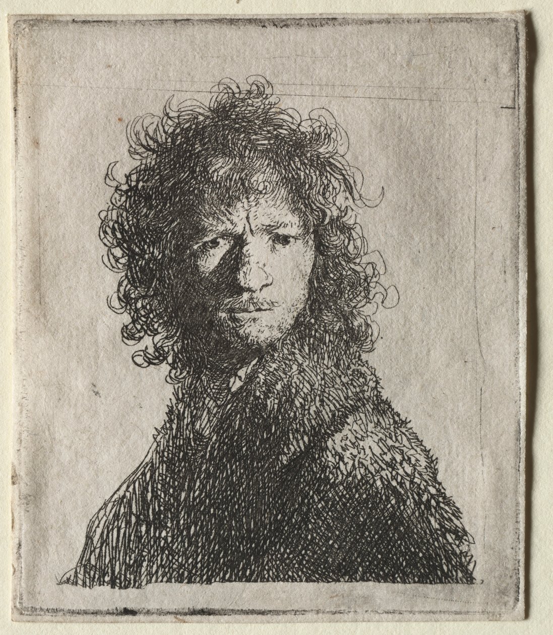 Selbstporträt mit Stirnrunzeln: Büste, 1630 von Rembrandt van Rijn