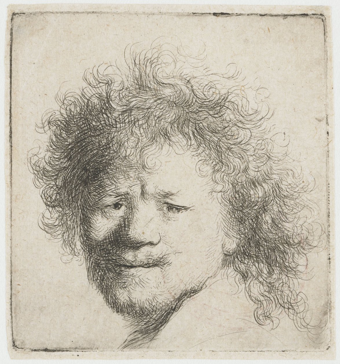 Selbstporträt mit langem buschigem Haar: nur Kopf von Rembrandt van Rijn