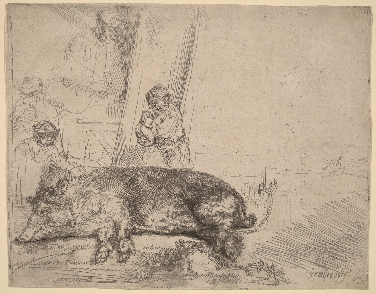 Das Schwein von Rembrandt van Rijn