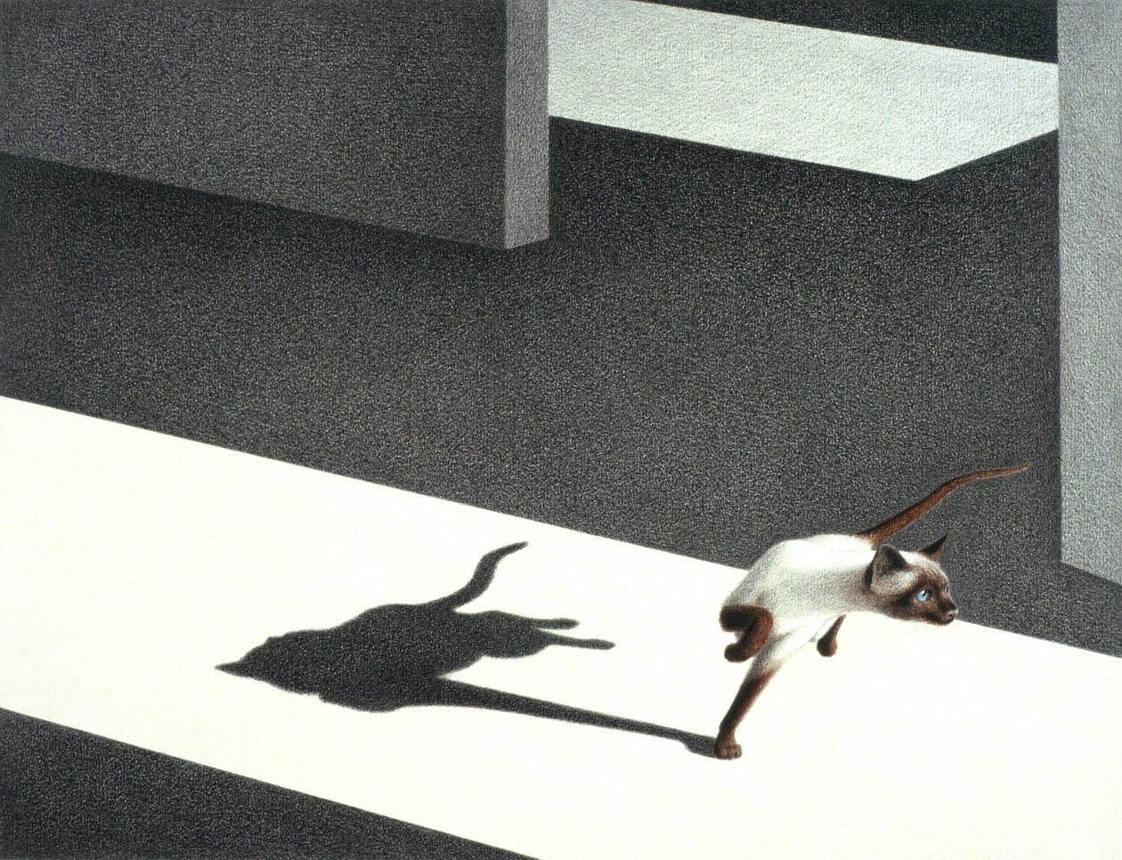 Ecke von Rene Boin