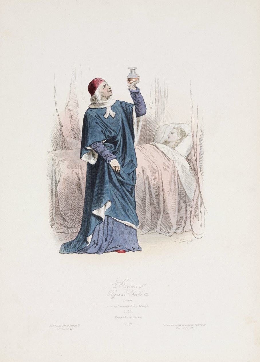 Patientenpflege: Herrschaft von Karl VIII., Frankreich von John Pardon