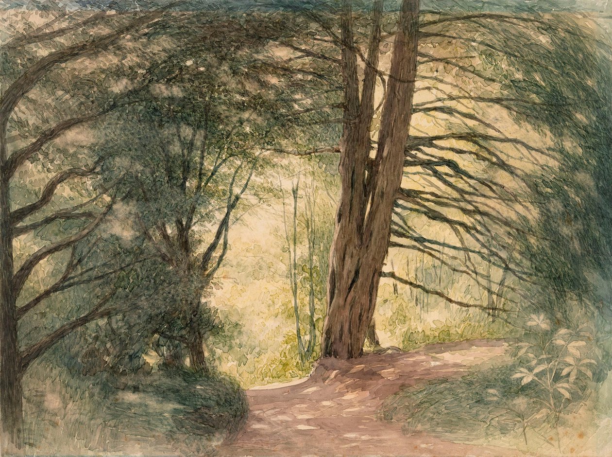 Box Hill, Surrey von Richard Doyle