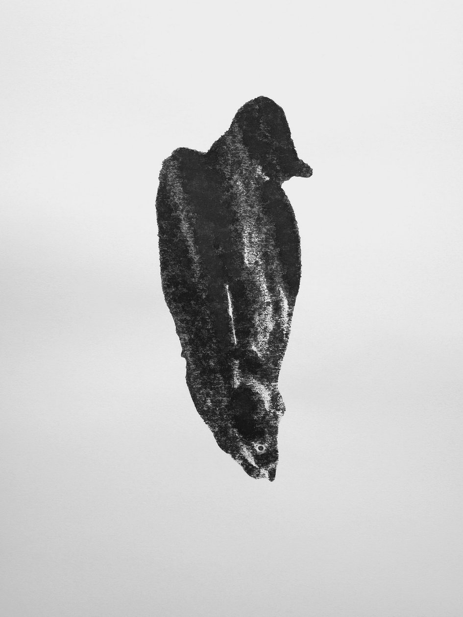 Ohne Titel, 2009 von Richard Green