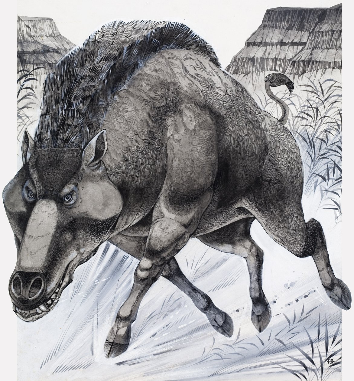 Daeodon von Richard Hook
