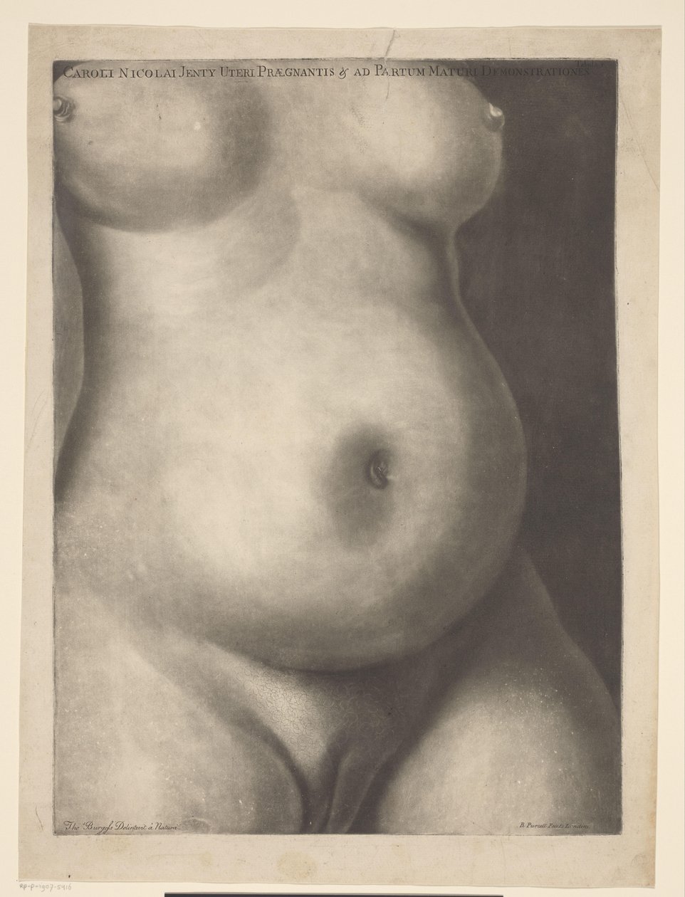 Torso einer schwangeren Frau von Richard Purcell