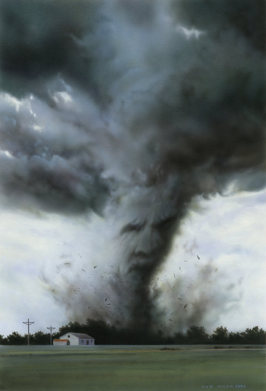 Der Wetterfrosch von Rob Wood