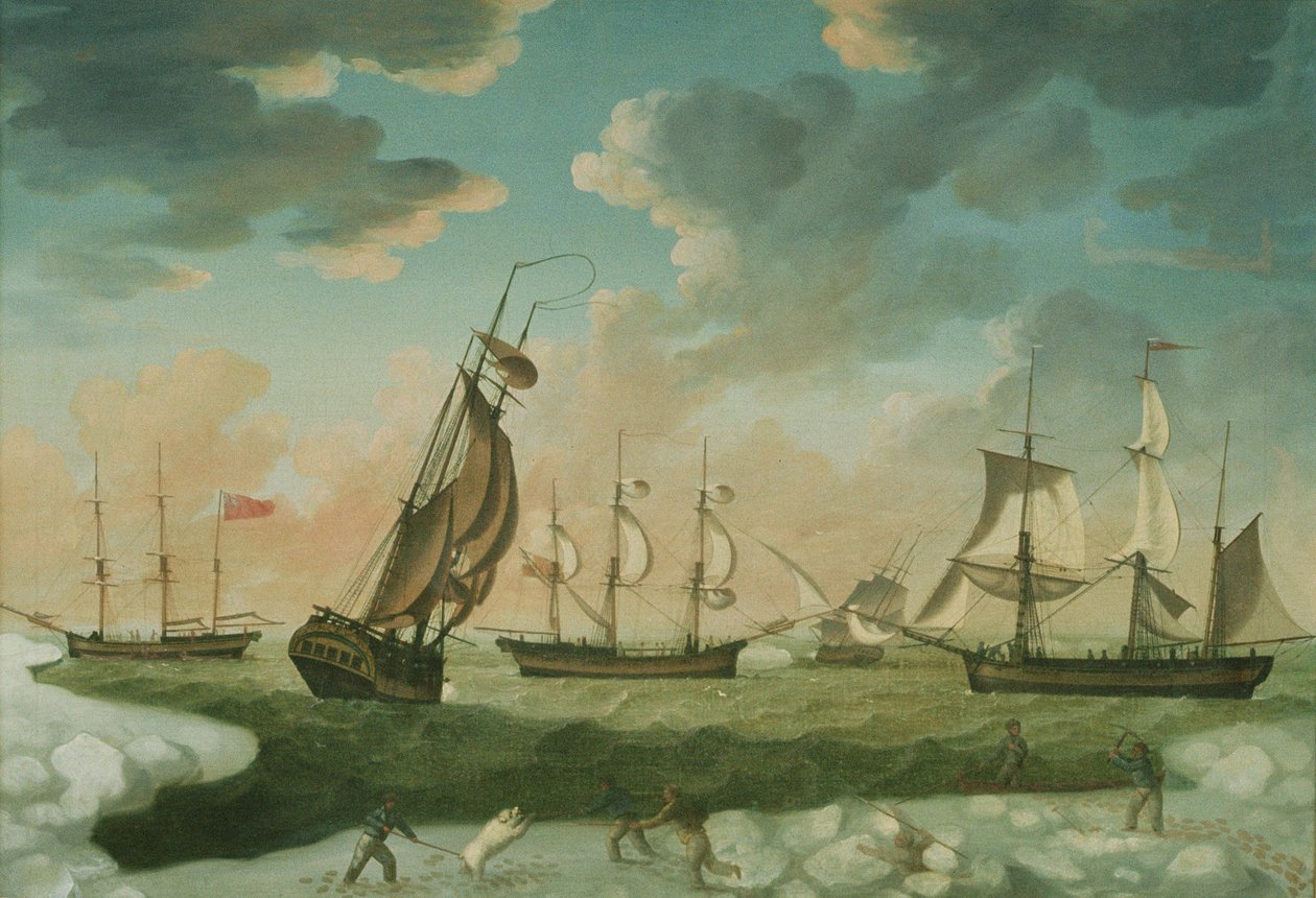 Arktische Szene von Robert Willoughby