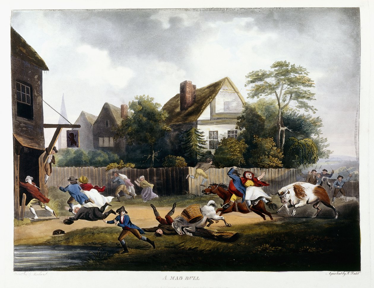Ein wütender Stier, 1806 von Robert Dodd