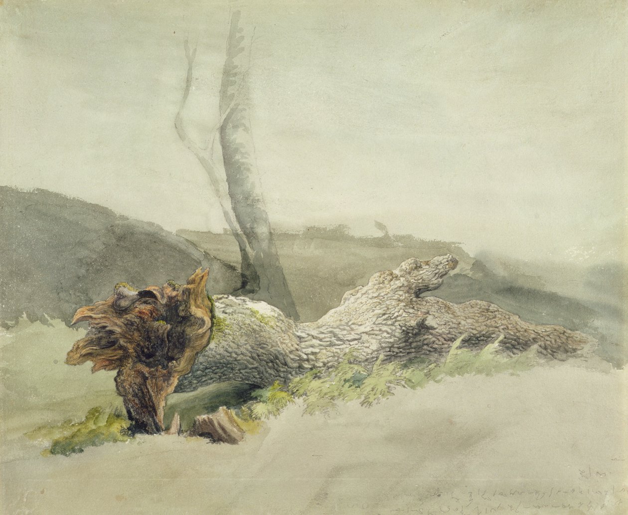 Der gefallene Baum, c.1804 von Robert Hills