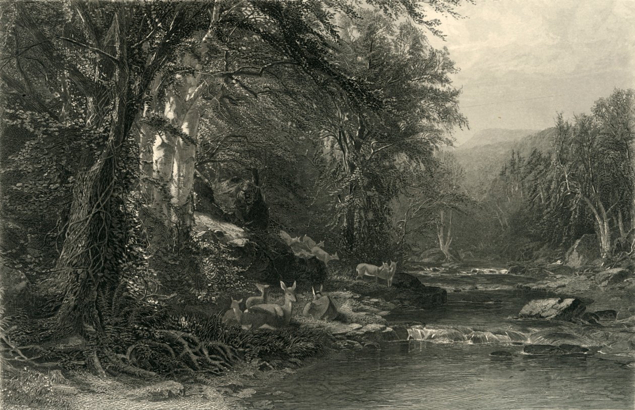 Die Adirondack-Wälder, 1874 von Robert Hinshelwood