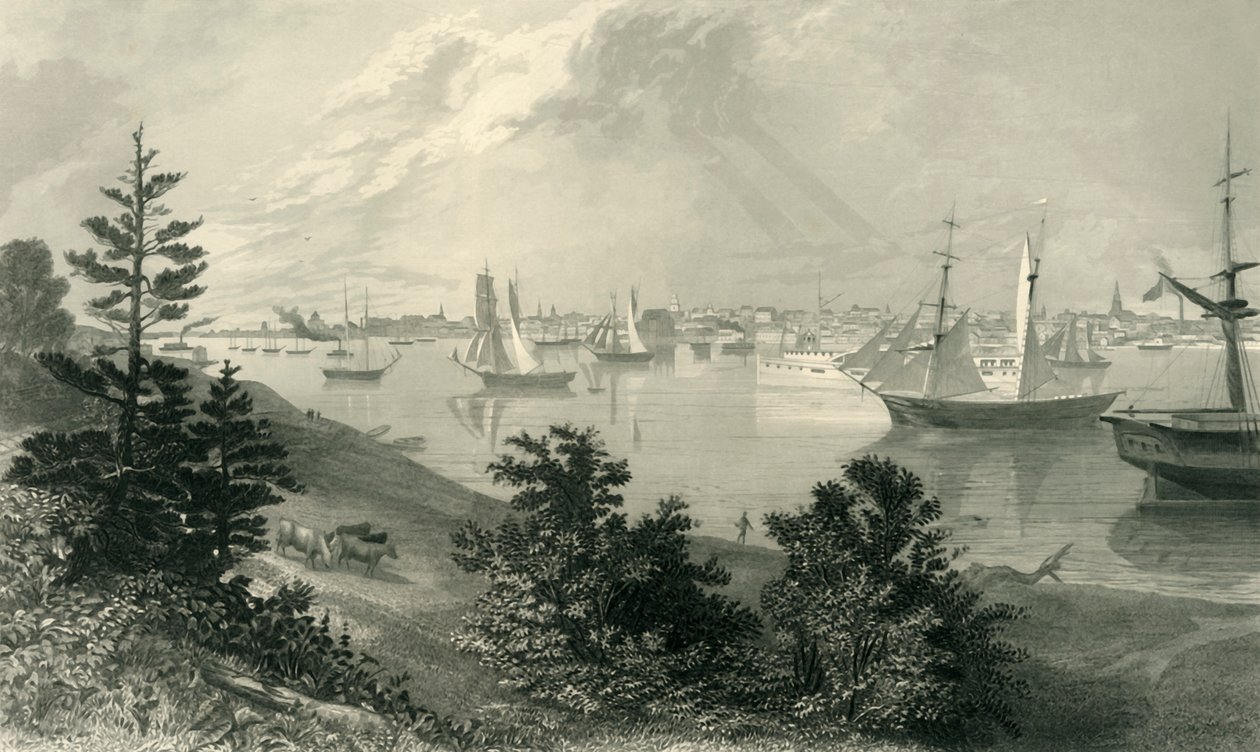 Die Stadt Detroit, vom Kanada-Ufer von Robert Hinshelwood
