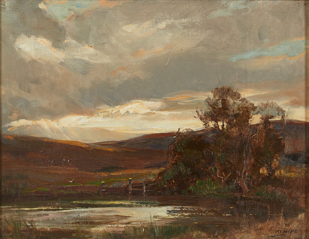 Abend auf der Swire Road, Ettrick Bridge von Robert Hope