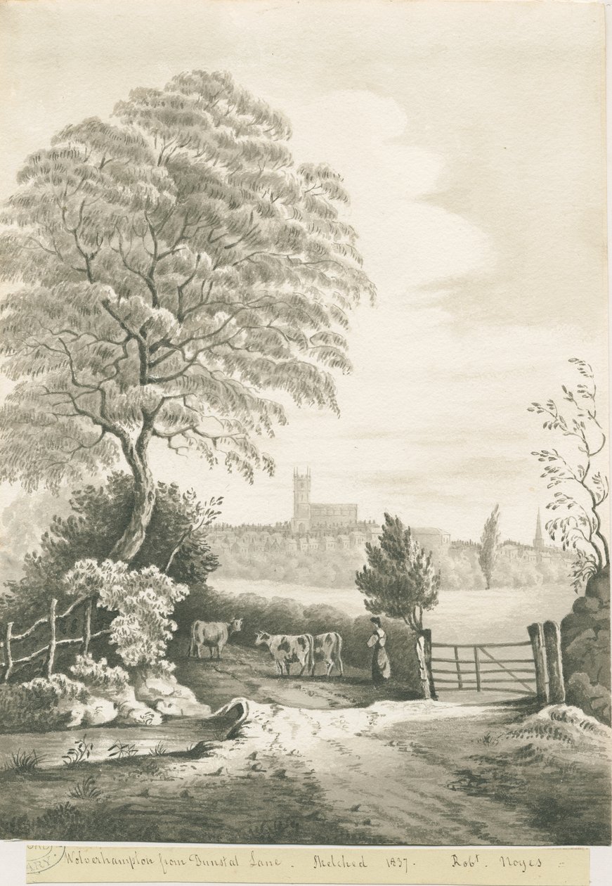 Wolverhampton - Fernansicht von Dunstall Lane von Robert Noyes