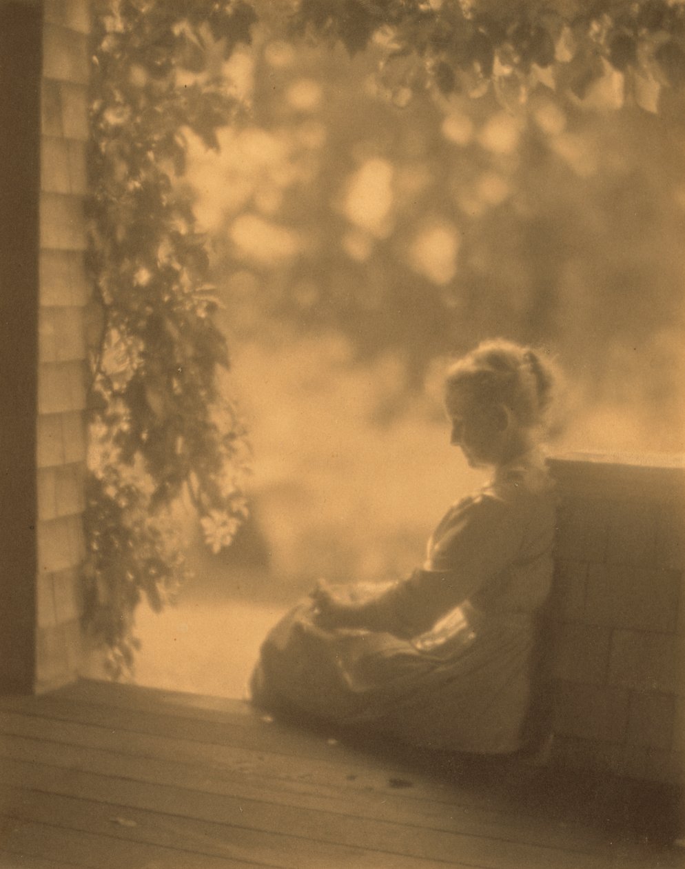September Sonne von Dwight A. Davis von Robert Peckham