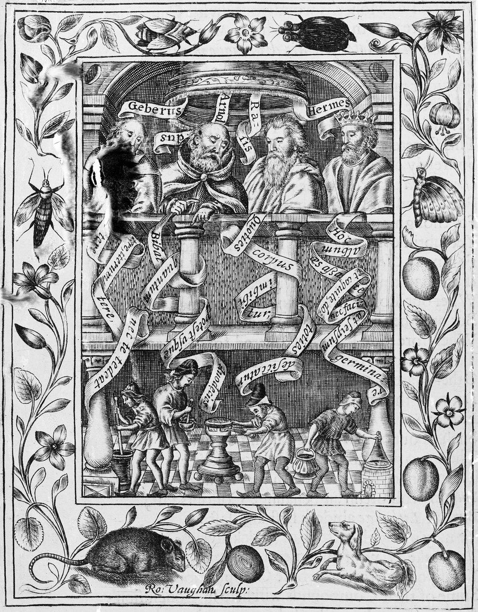 Große Alchemisten inspirieren die Arbeit im Labor aus Theatrum Chemicum Britannicum, 1652 von Robert Vaughan