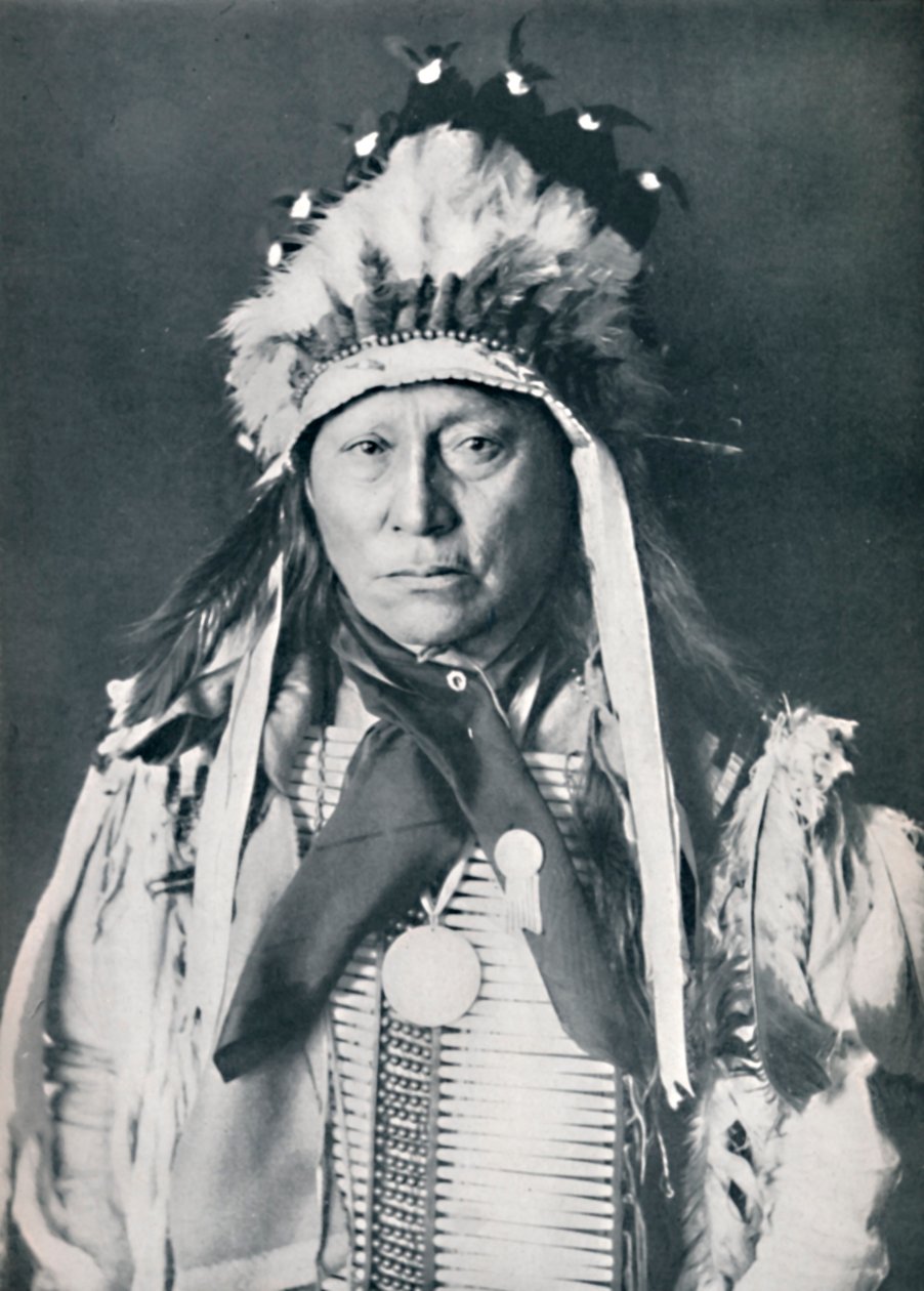Ein Sioux-Häuptling in seiner Kriegsbemalung von Robert Wilson Shufeldt