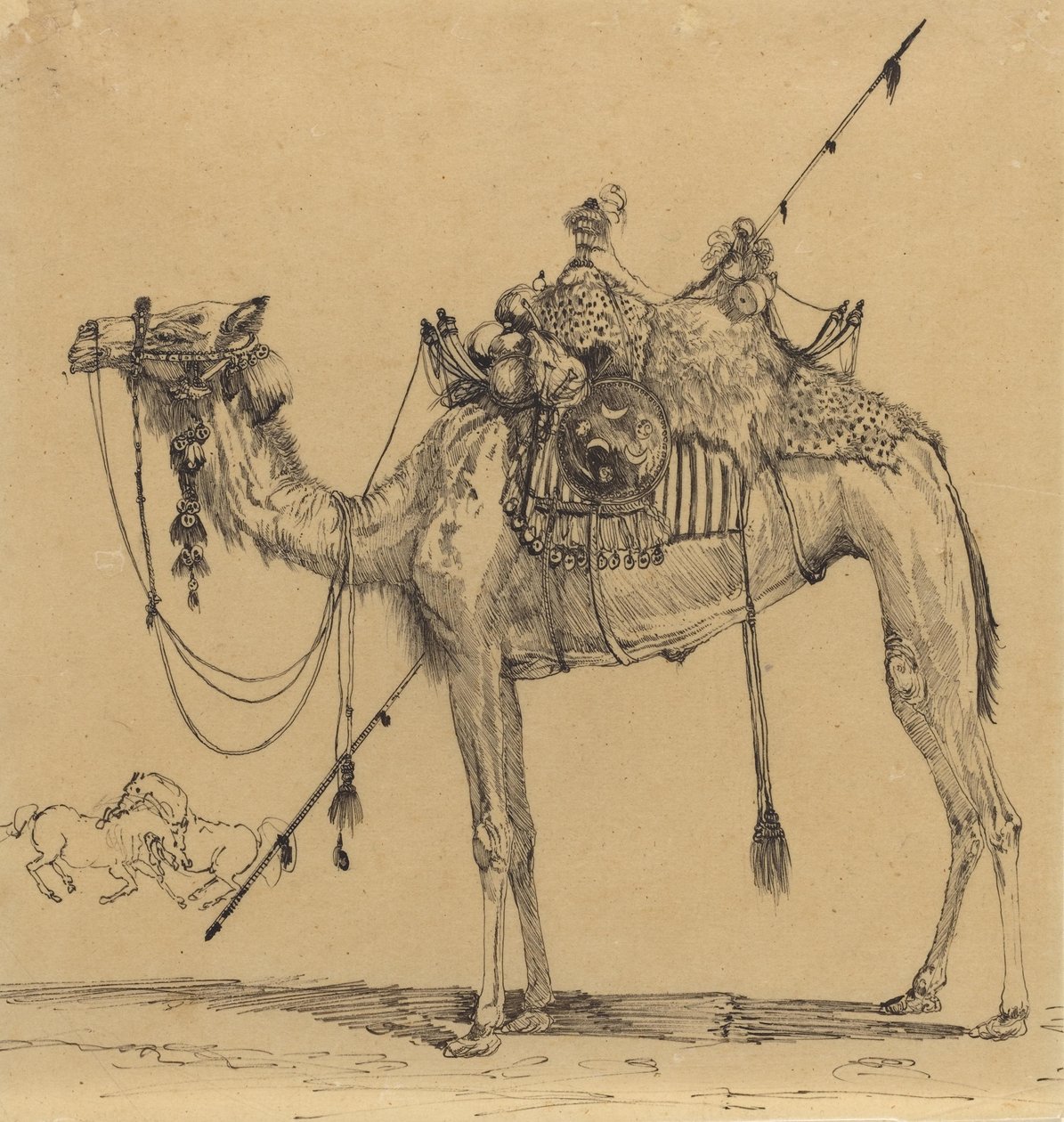 Das Kamel von Rodolphe Bresdin