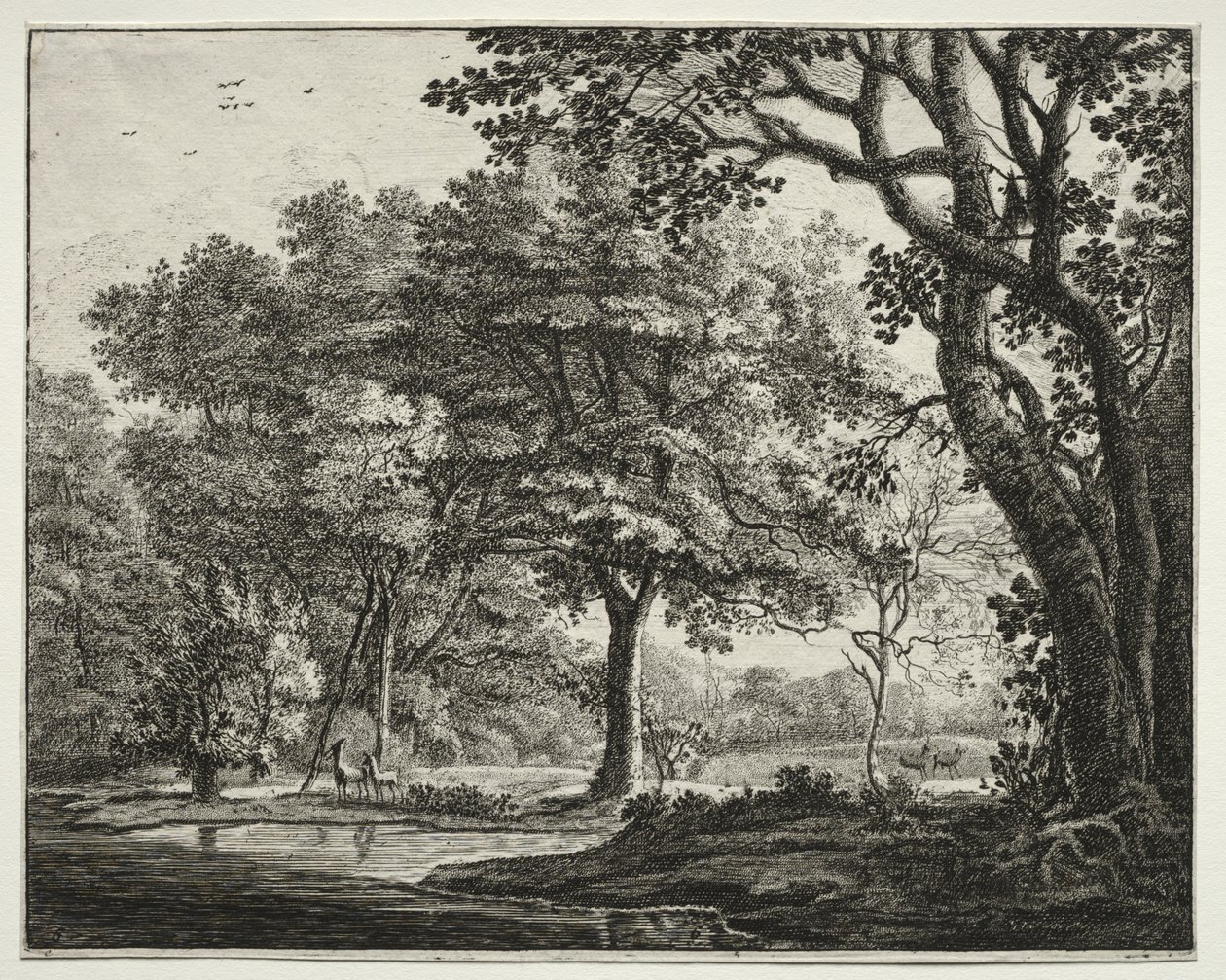 Sechs Ansichten im Wald von Den Haag: Platte 6, Zwei Hirsche von Roelant Roghman