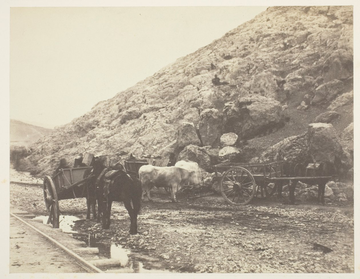 Vieh und Karren, die Balaklava verlassen von Roger Fenton