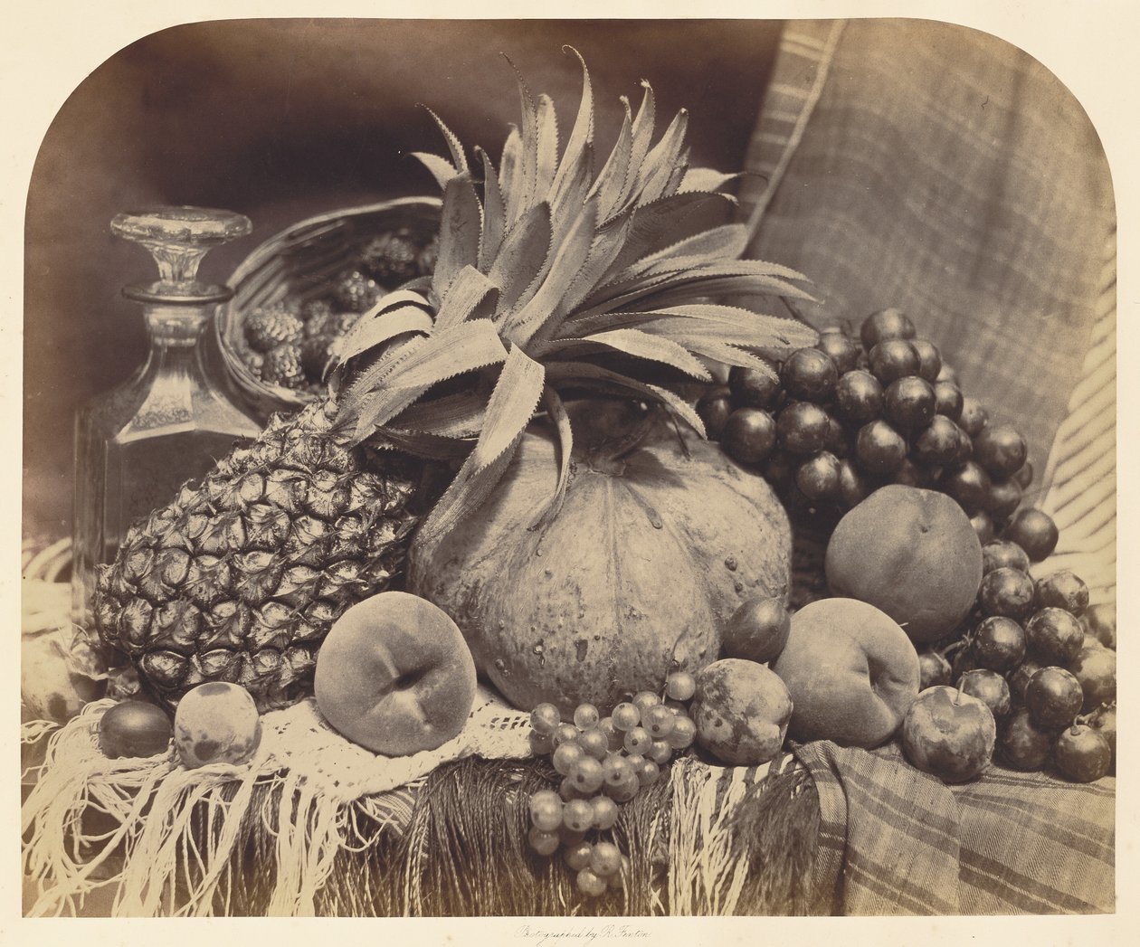 [Stillleben mit Früchten und Karaffe] von Roger Fenton