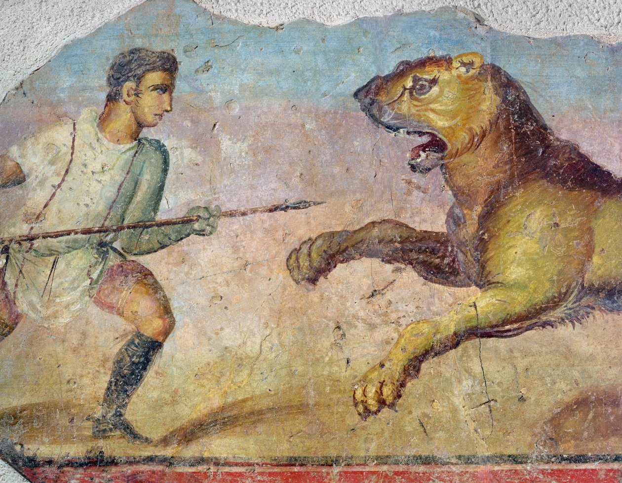 Ein Gladiator kämpft gegen einen Löwen, aus dem Amphitheater von Merida von Roman