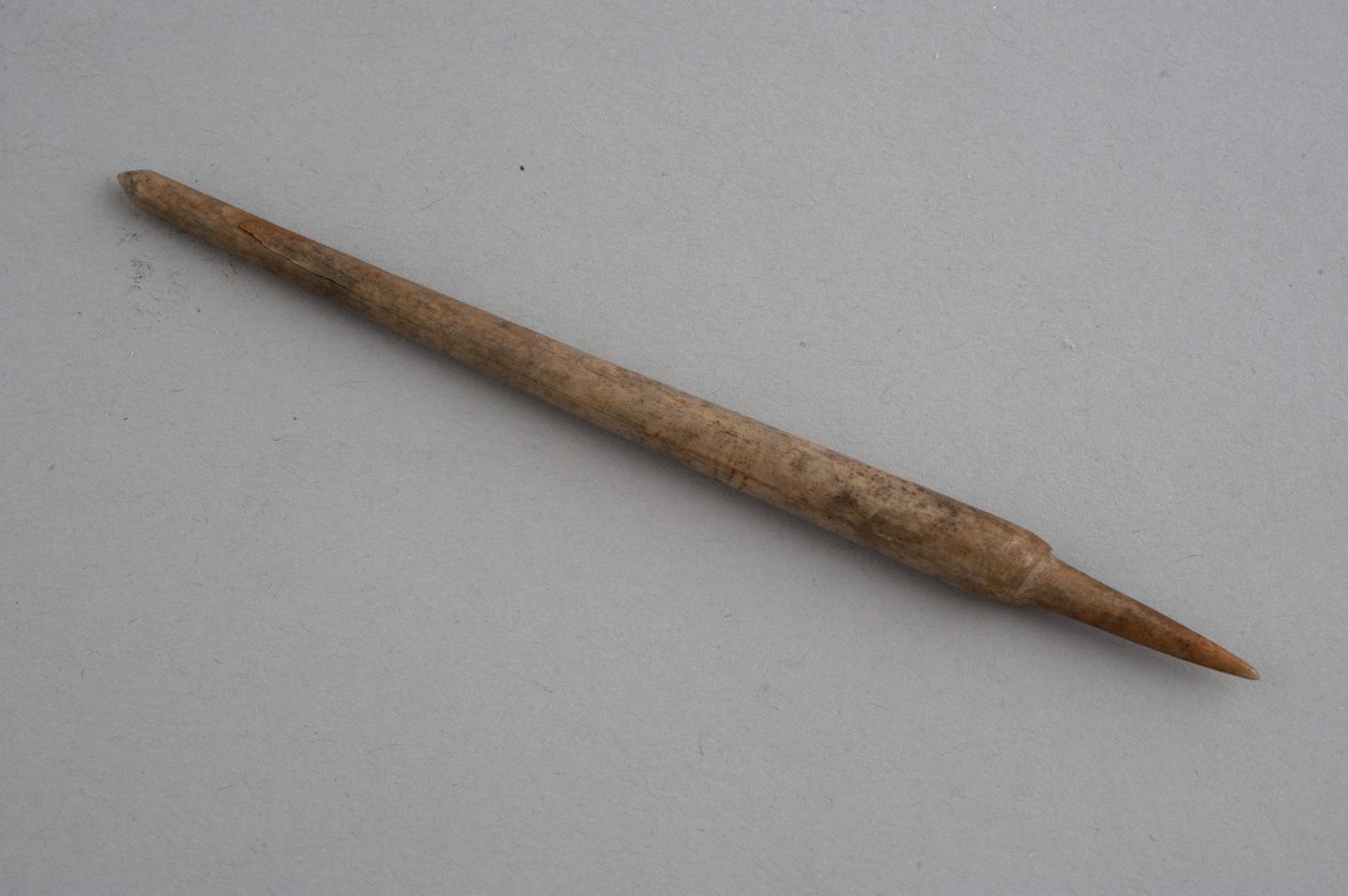 Stift (Knochen) von Roman