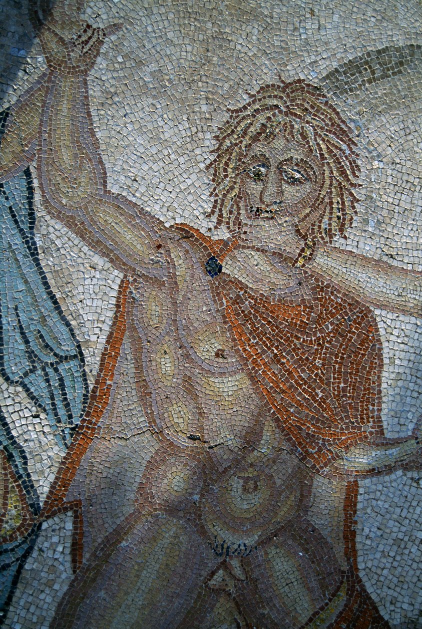 Entführung des Hylas durch Nymphen, Mosaik im Haus der Venus in der römischen Stadt Volubilis von Roman
