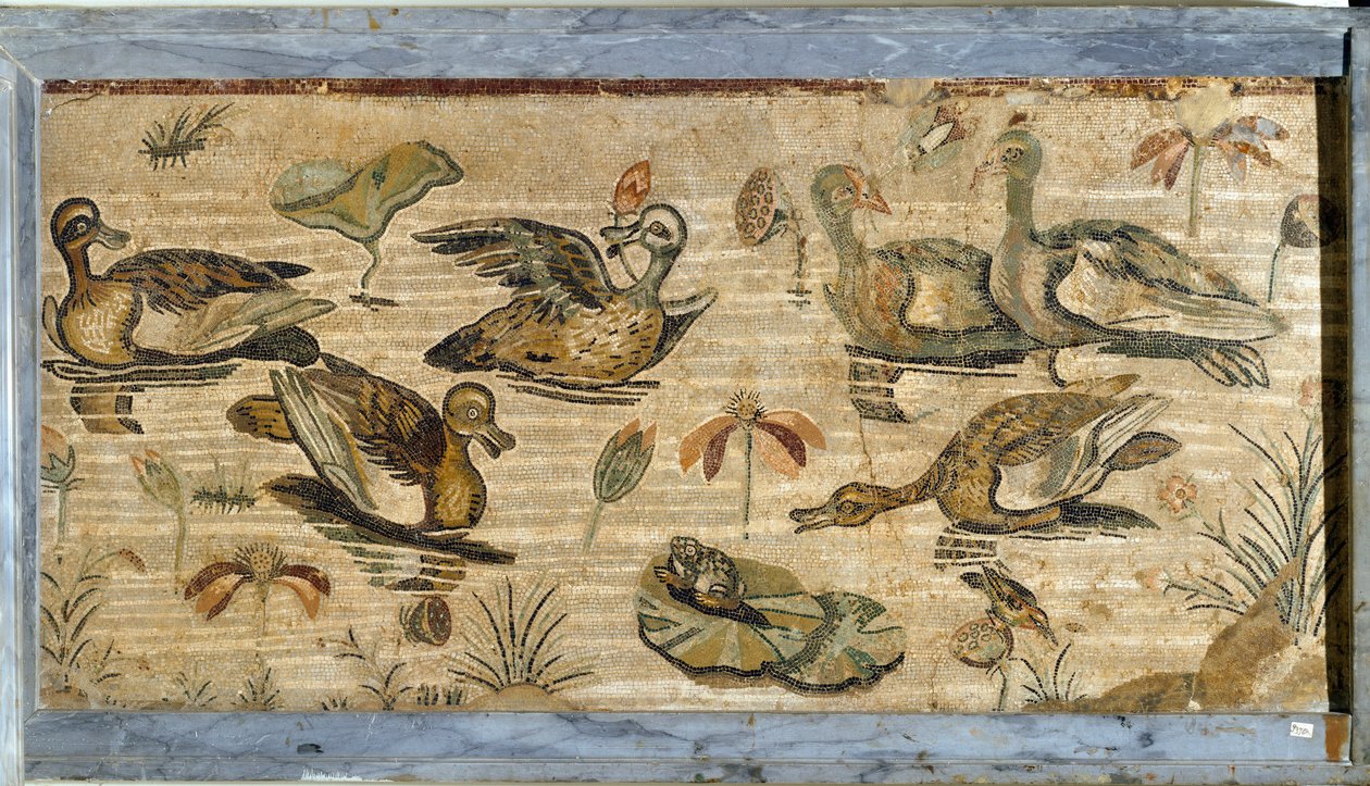 Römische Kunst: Ente, Frosch und Seerosen in einem Teich. Mosaik aus der Villa der Fauna in Pompeji. 1. Jahrhundert. Museo Archeologico Nazionale, Neapel von Roman
