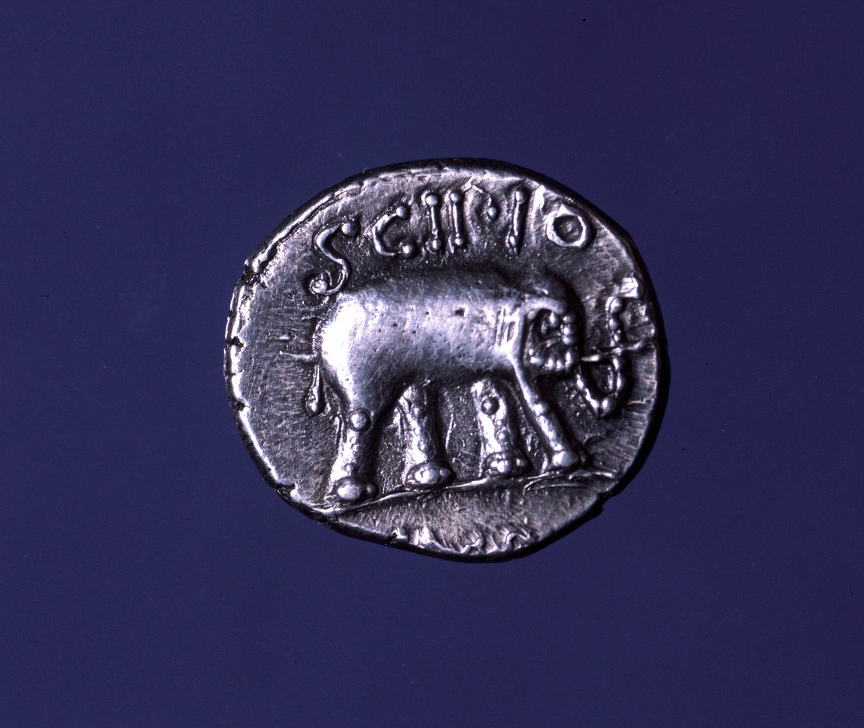 Silbermünze mit einem Elefanten, dem Fetisch-Tier der Scipionen. Lucius Caecilius Metellus eroberte die karthagischen Elefanten 251 v. Chr. 47-46 v. Chr. von Roman