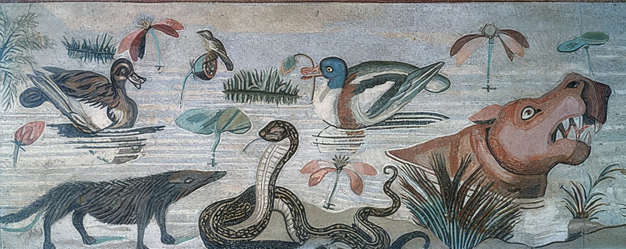 Tiere im Nil, aus dem Haus des Fauns, Pompeji von Roman