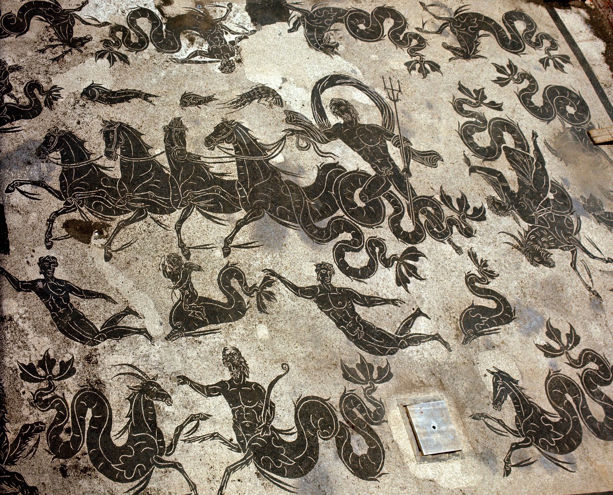 Antikes Ostia (Ostia). Mosaik der Neptunthermen auf seinem Wagen, umgeben von Delfinen und Meeresmonstern von Roman Roman