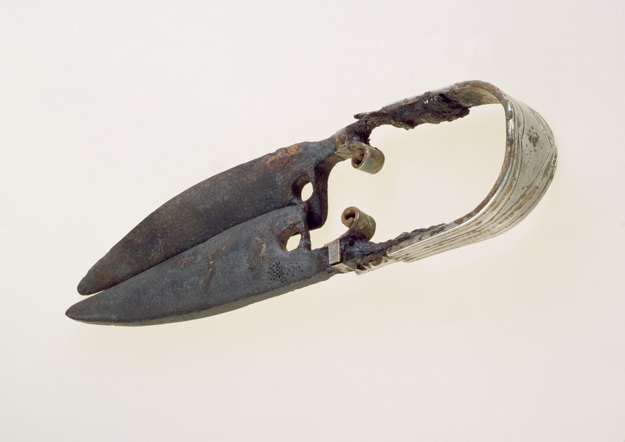 Paar Scheren von Roman Roman