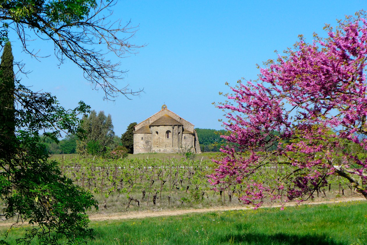 Romanische Kapelle Saint-Etienne de Vaissiere in Azille (Fotografie) von Romanesque