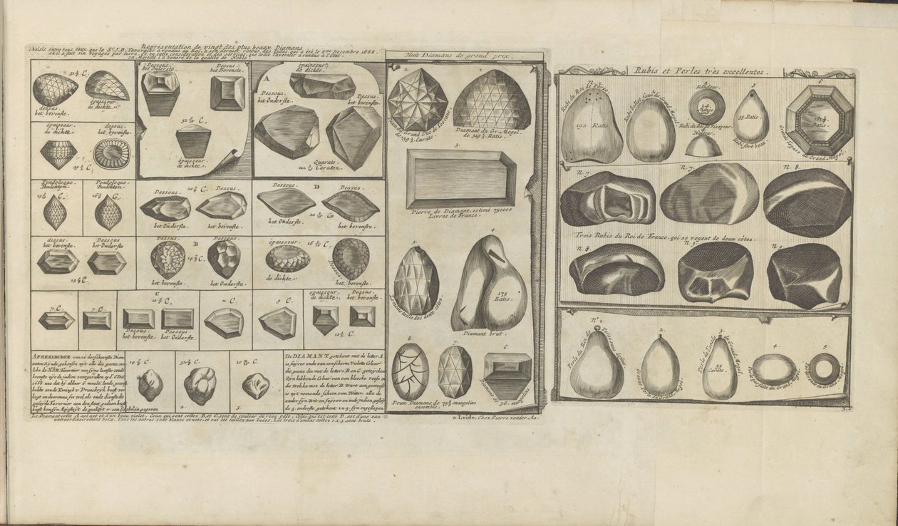 Diamanten, Rubine und Perlen von Romeyn de Hooghe