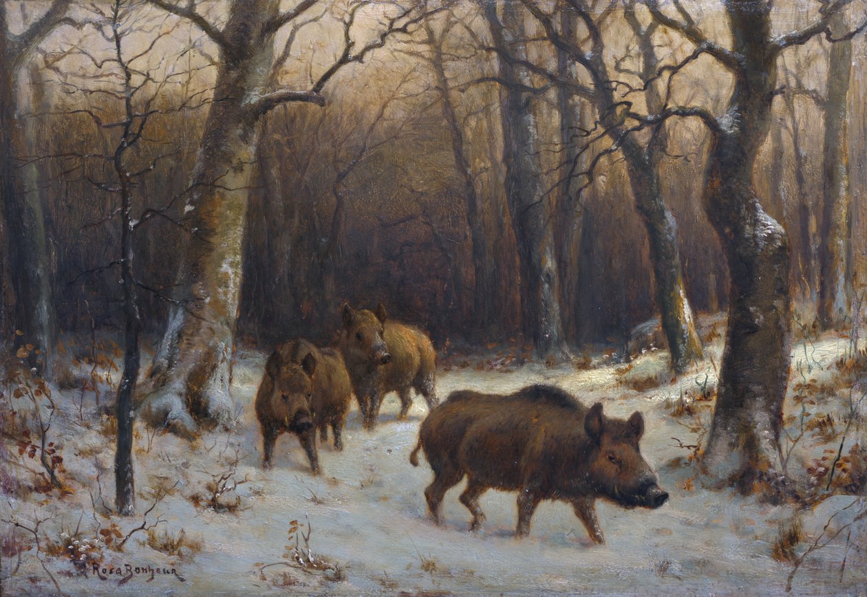 Sangliers dans la neige von Rosa Bonheur